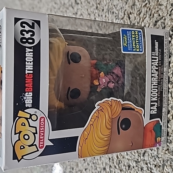 RAJ KOOTHRAPPALI POP TELEVISION # 832 - Picture 6 of 7